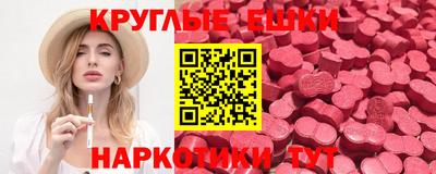 стаф Гатчина